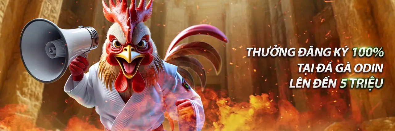 Hình ảnh hỗ trợ khách hàng ee88